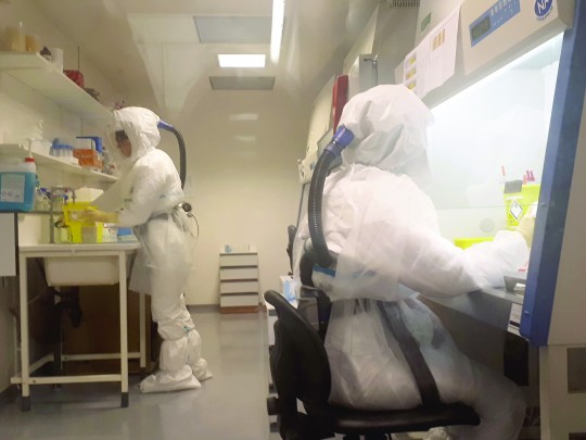 L’Institut Pasteur de Lille est mobilisé dans la recherche d'un traitement depuis le début de l'épidémie. Crédit : IPL